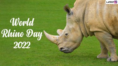 World Rhino Day 2022 Images & HD Wallpapers for Free Download Online: Share Quotes, Slogans and Messages To Help Preserve the Rhinoceros Species