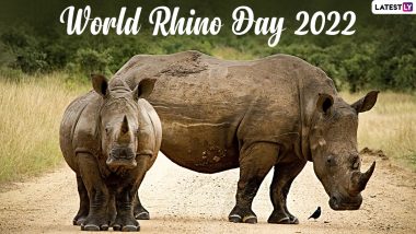 World Rhino Day 2022 Date & Theme: History, Significance and All There Is To Know About The Annual Occasion Dedicated to The Armoured Giant