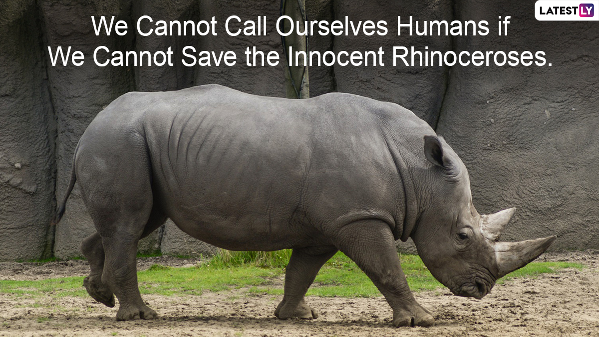 World Rhino Day 2022 Slogans 1