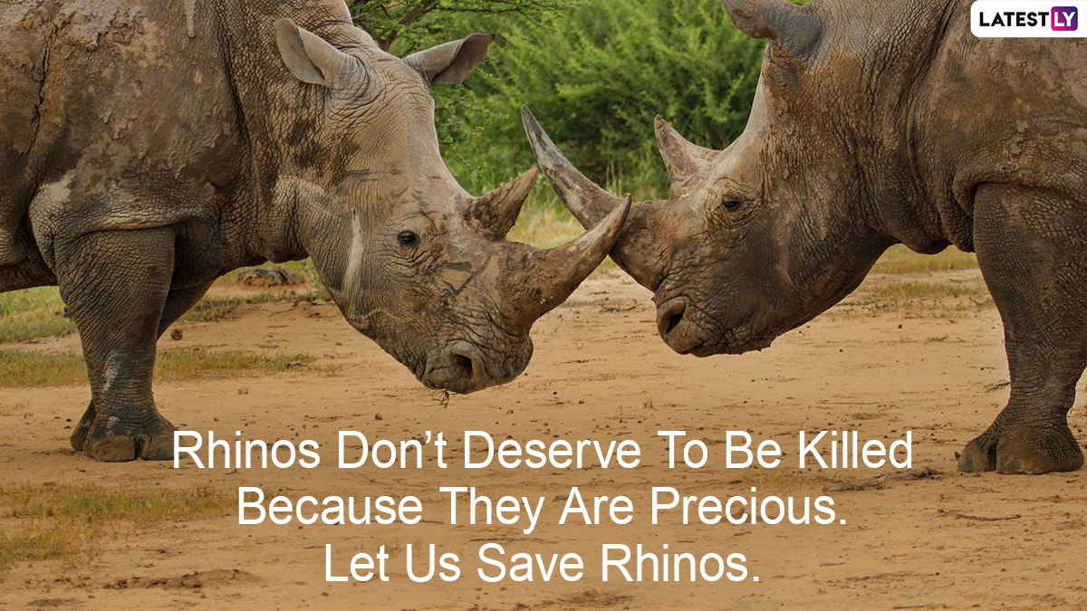 World Rhino Day 2022 Slogans 2