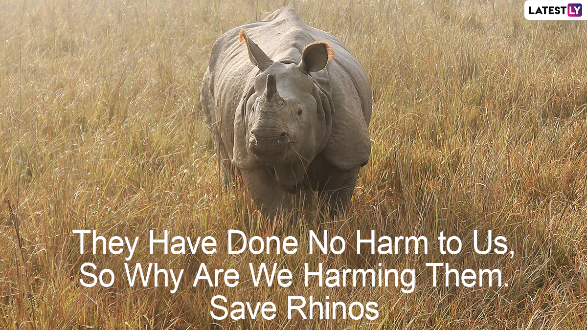 World Rhino Day 2022 Slogans 3