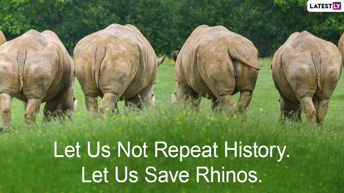 World Rhino Day 2022 Slogans 4