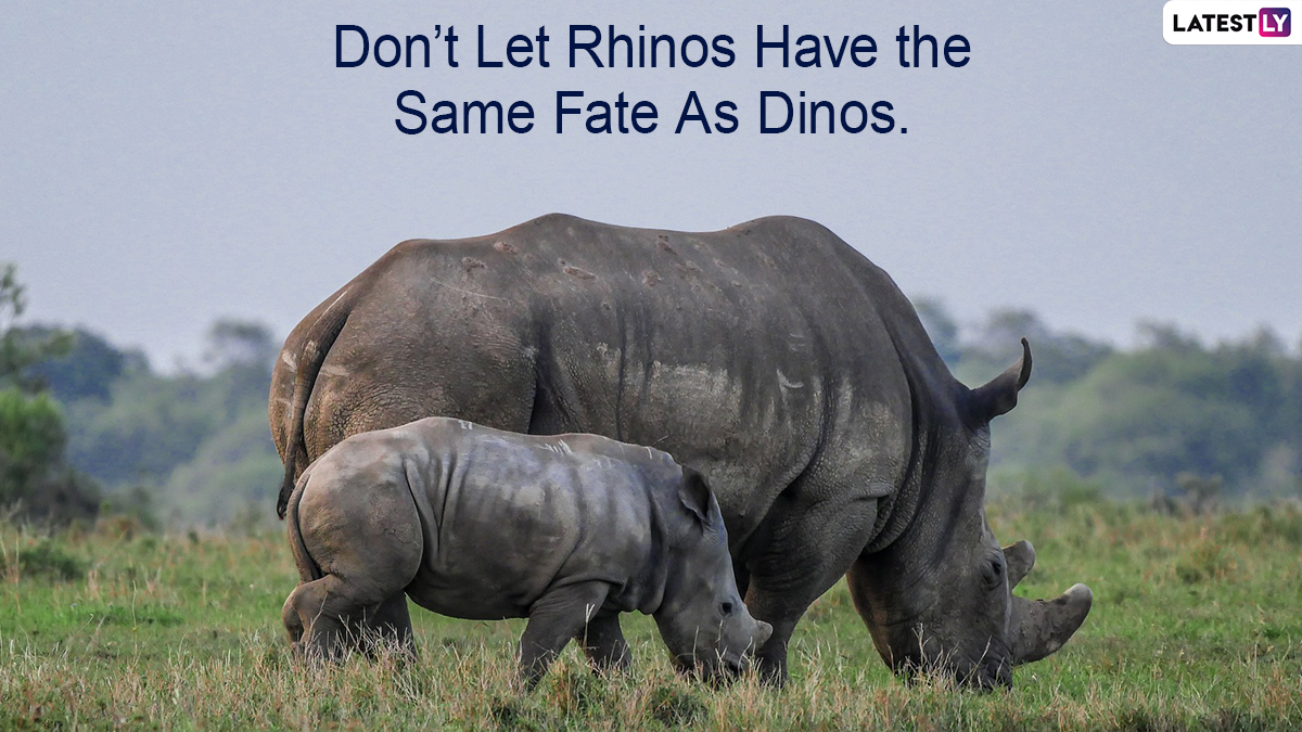 World Rhino Day 2022 Slogans 5