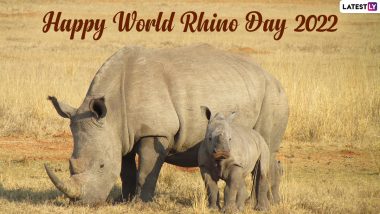 World Rhino Day 2022 Quotes: ‘Save Rhino’ Slogans, WhatsApp Messages, HD Images & Wallpapers for Conservation Day of Rhinoceros