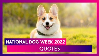 Happy National Dog Week 2022 Quotes About Dogs To Appreciate Our Furry Companions