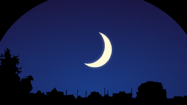 Rabi Ul Awwal 2022 Moon Sighting in India: Rabi Al-Awwal Crescent Sighted in Many Parts, Eid Milad Un Nabi on October 9