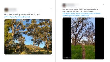 First Day of Spring 2022: Netizens Share Wattle Day Quotes, Scenic Photos, Videos and Greetings To Mark Springtime in Australia (See Tweets)