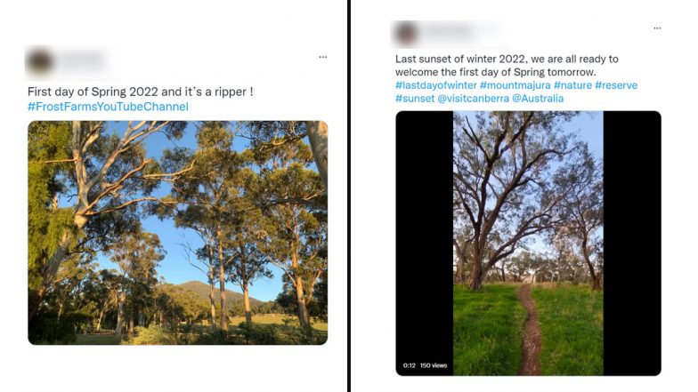 First Day of Spring 2022: Netizens Share Wattle Day Quotes, Scenic Photos, Videos and Greetings To Mark Springtime in Australia (See Tweets)