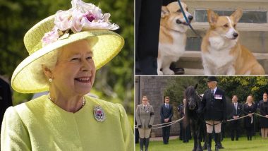 Queen Elizabeth's Black Pony Emma And Two Corgis Sandy and Muick Attended the Monarch's Funeral Procession Pass by Windsor Castle (Watch Video)