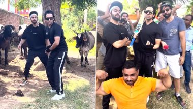 Ayushmann Khurrana Puts A Musical Act to Cheer Up Fans After India vs Pakistan Match, Also Requests Them to Spare Arshdeep Singh From Trolling (Watch Video)