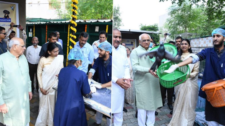 Gujarat CM Bhupendra Patel Visits Shree Danev Foundation’s Animal and Poultry Treatment Center in Ahmedabad, Says 'Feeling of Releasing Healed Bird in Sky Is Something Else'