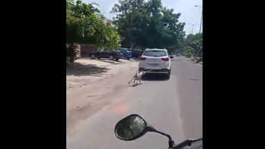 Rajasthan Shocker: Dog Tied to Car, Dragged Ruthlessly on Road by Doctor in Jodhpur; Case Registered (Watch Video)