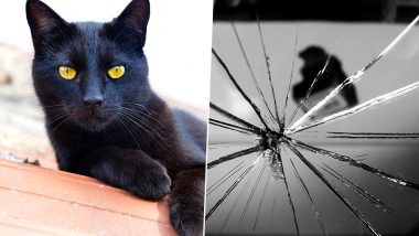 Are You Superstitious? From Seeing Black Cat to Broken Mirror, 5 Most Common Superstitions in India and Across the World