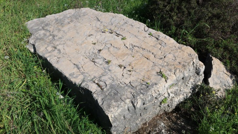 Proposal to Bring Limestone Approved by Odisha Govt Under LTL Policy
