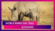 World Rhino Day 2022 Slogans & Messages To Raise Awareness About the Critically Endangered Species