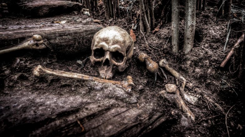 Borneo: World’s Earliest Evidence of Successful Surgical Amputation Found in 31,000-Year-Old Grave