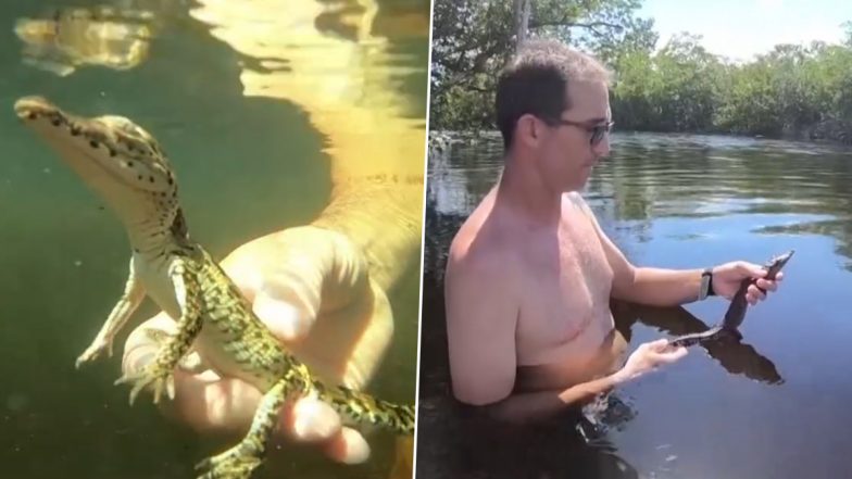 Video: Cuban Scientist Etiam Perez Releases Baby Crocodile Confiscated From Hunters Back Into Wild