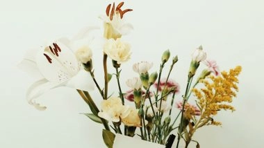 World Gratitude Day 2022 Messages & Quotes To Express Thankfulness on This Day