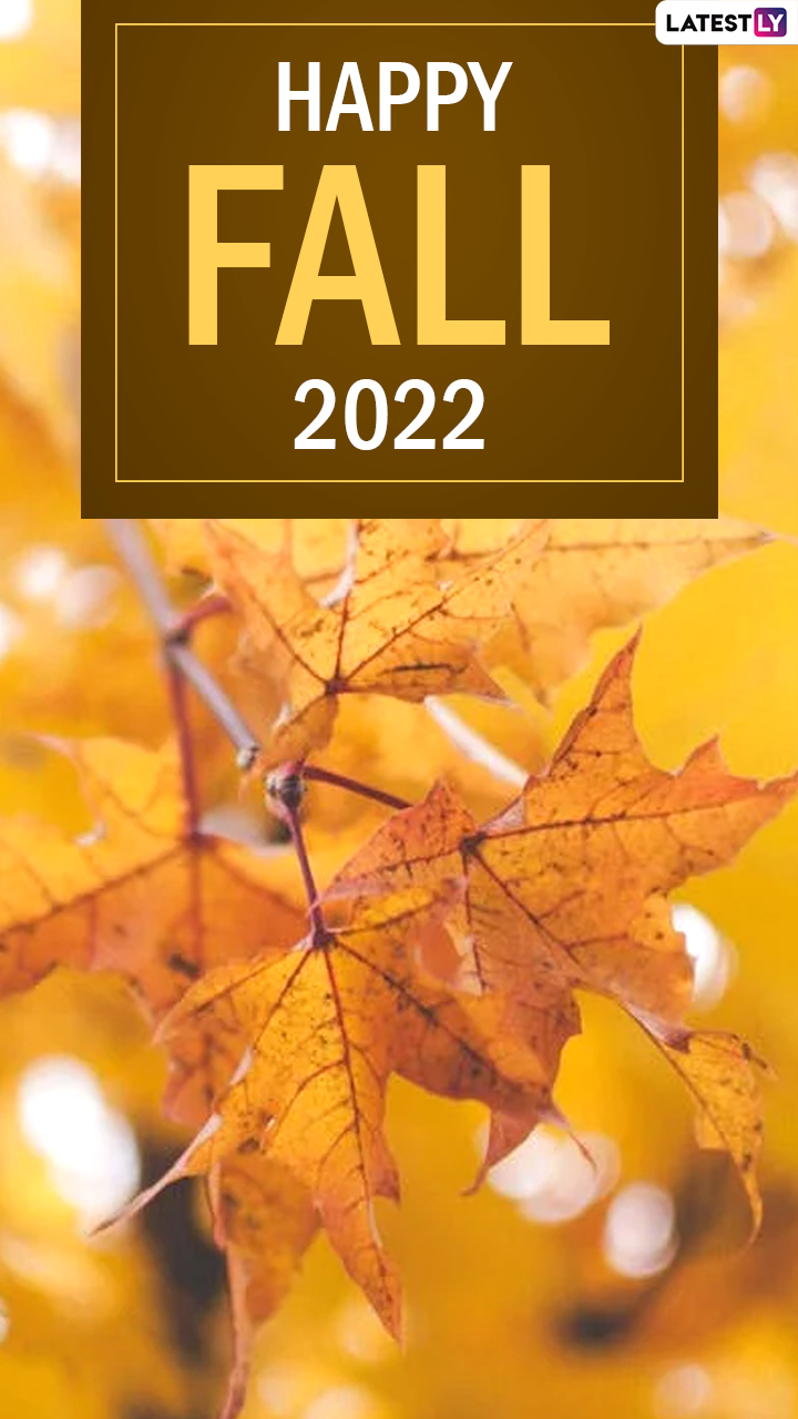 Happy Fall 2022 Quotes & Autumnal Equinox Messages To Celebrate First
