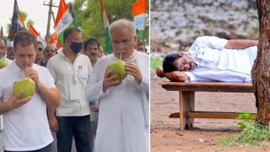 Bharat Jodo Yatra: Video of Rahul Gandhi Drinking Coconut Water, Image of KC Venugopal Taking Rest on Bench Goes Viral