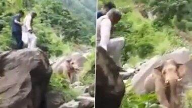 Video: Former Uttarakhand CM Trivendra Singh Rawat Climbs Hill To Save His Life After Elephant Blocks Convoy