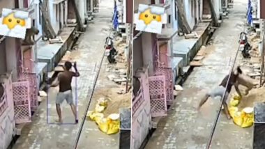 Monkey Nails Perfect WWE Wrestling Move on Man in Viral Video, Netizens Compare The Animal to John Cena, Rey Mysterio and Randy Orton!