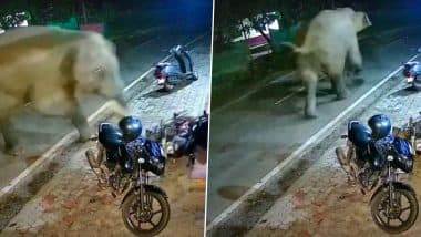 Video: Elephant Goes on Rampage, Attacks People and Damages Bikes in Kerala’s Malappuram