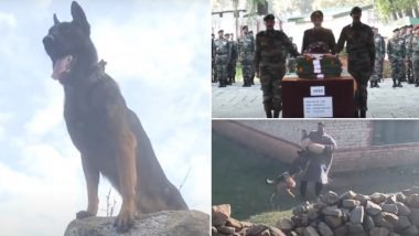 Video: Indian Army's Tribute To Hero Dog 'Zoom' Who Died After Fight With Terrorists in Jammu and Kashmir