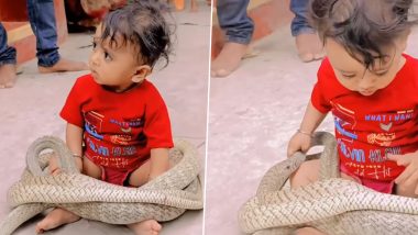 Watch Giant Snake Cuddling Up With Little Toddler in Viral Video That Has Left Netizens Flabbergasted