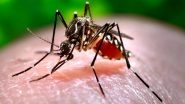 Lucknow Reports 42 New Dengue Cases in 24 Hours; Notice Issued to Seven Houses To Curb Mosquito Breeding