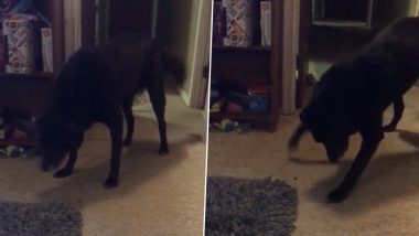 Ghost Pushes Dog? Old Video Claiming Unidentifiable Body Moving the Animal Across Floor Goes Viral; Spooky Clip Will Give Cold Shivers!