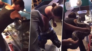 Snake Attack Viral Video! Pet Serpent Bites Owner's Hand and Tightly Wraps Itself Around Her Arm in Hair-Raising Clip 