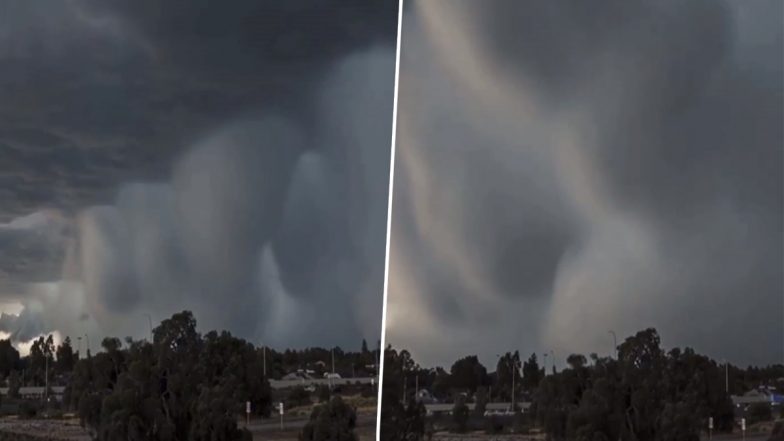 Dark Storm? Scary Tsunami-Like Clouds Approaching a Neighbourhood in Viral Video Will Send Chills Down Your Spine! 