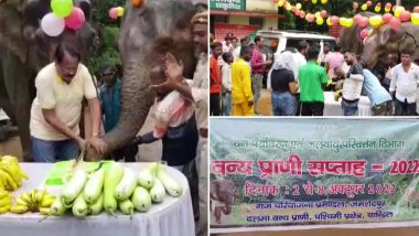 National Wildlife Week 2022: As Cute as It Gets! Villagers Celebrate Elephant’s Birthday in Jamshedpur’s Dalma Wildlife Sanctuary (See Pics)