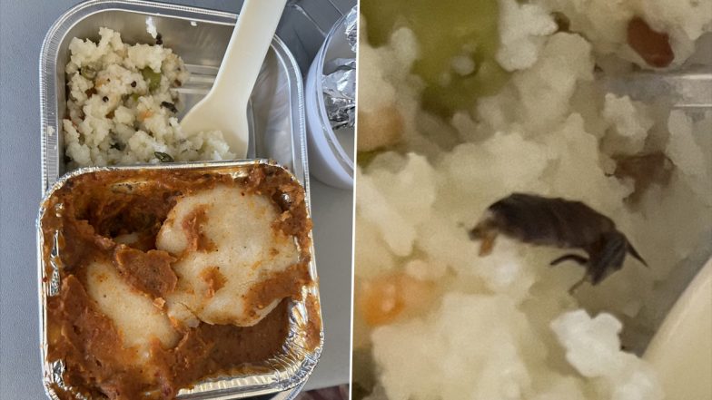 Dead Insect Found in Air Vistara Flight Meal! Passenger Claims To Find Cockroach in Packed Food; See Viral Pics