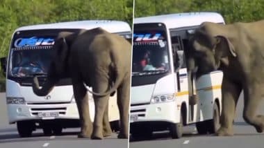 Video: Elephant Tries to Enter Bus, 'Everyone Wants to Reach Home Early for Diwali 2022' Netizens Say