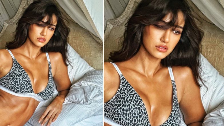 Disha Patani Shows Off Her Firm Abs in a Black and White Calvin Klein Bra (View Pic)