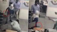 Video: Brave Branch Manager Fights Off Armed Robber With Pliers To Foil Robbery Attempt in Rajasthan&rsquo;s Sri Ganganagar, Courageous Act Caught on CCTV