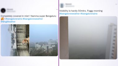 Bangalore Rains: Twitterati Trend #BangaloreRains by Sharing Messages, Images & Videos of the Foggy Morning After Heavy Rainfall in the City