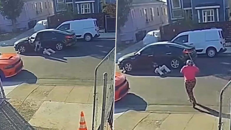 76-Year-Old Grandmother With Cane and Her German Shepherd Dog Fend Off Robber Attacking Neighbour in California; Brave Act Video Goes Viral