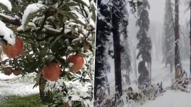 Gulmarg Turns Into Paradise As Kashmir Witness Season’s First Snowfall (See Videos)