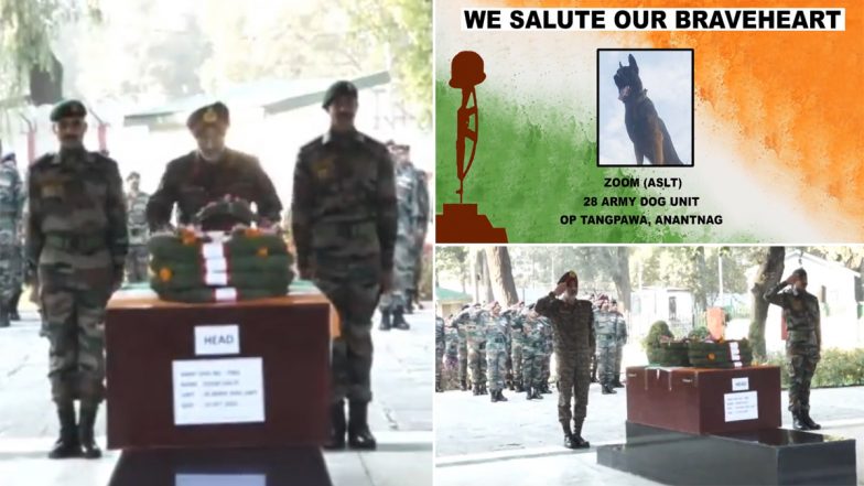 Indian Army Dog ‘Zoom’ Dies: Army Officers Lay Wreath on Mortal Remains of Assault Canine (Watch Video)