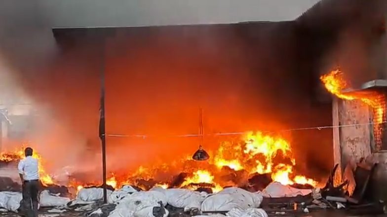 Maharashtra Fire: Massive Blaze Erupts at Unity Fabtex Industries in Mahad MIDC (Watch Video)