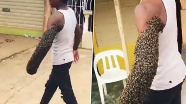 Bee-zarre! Man Fearlessly Carries Swarm of Bees on His Bare Arm in Viral Video That is Not For the Faint-Hearted