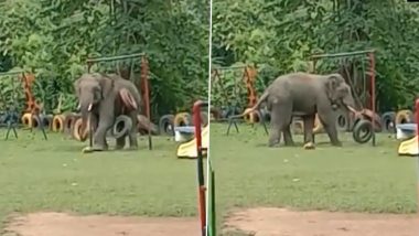 Assam: Wild Elephant Enjoys Playtime After It Sneaks Into Children’s Park in Narangi Army Cantt (Watch Video)