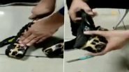Video: Cocaine Worth Rs 4.9 Crore Concealed in Special Cavity in Woman&rsquo;s Sandal Seized At Mumbai Airport