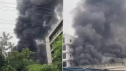Noida: Fire Breaks Out At Factory in Sector 3, Firefighters on Spot (Watch Video)