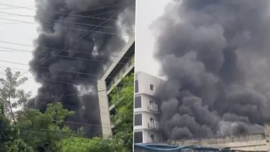 Noida: Fire Breaks Out At Factory in Sector 3, Firefighters on Spot (Watch Video)