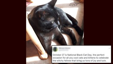 National Black Cat Day 2022: Twitterati Shares Messages, Quotes & HD Images To Celebrate the Animal Well-Known for Halloween