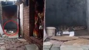Video: Huge Crocodile Turns Up in Toilet in Gujarat&rsquo;s Anand, Sends Residents Into Tizzy Early Morning